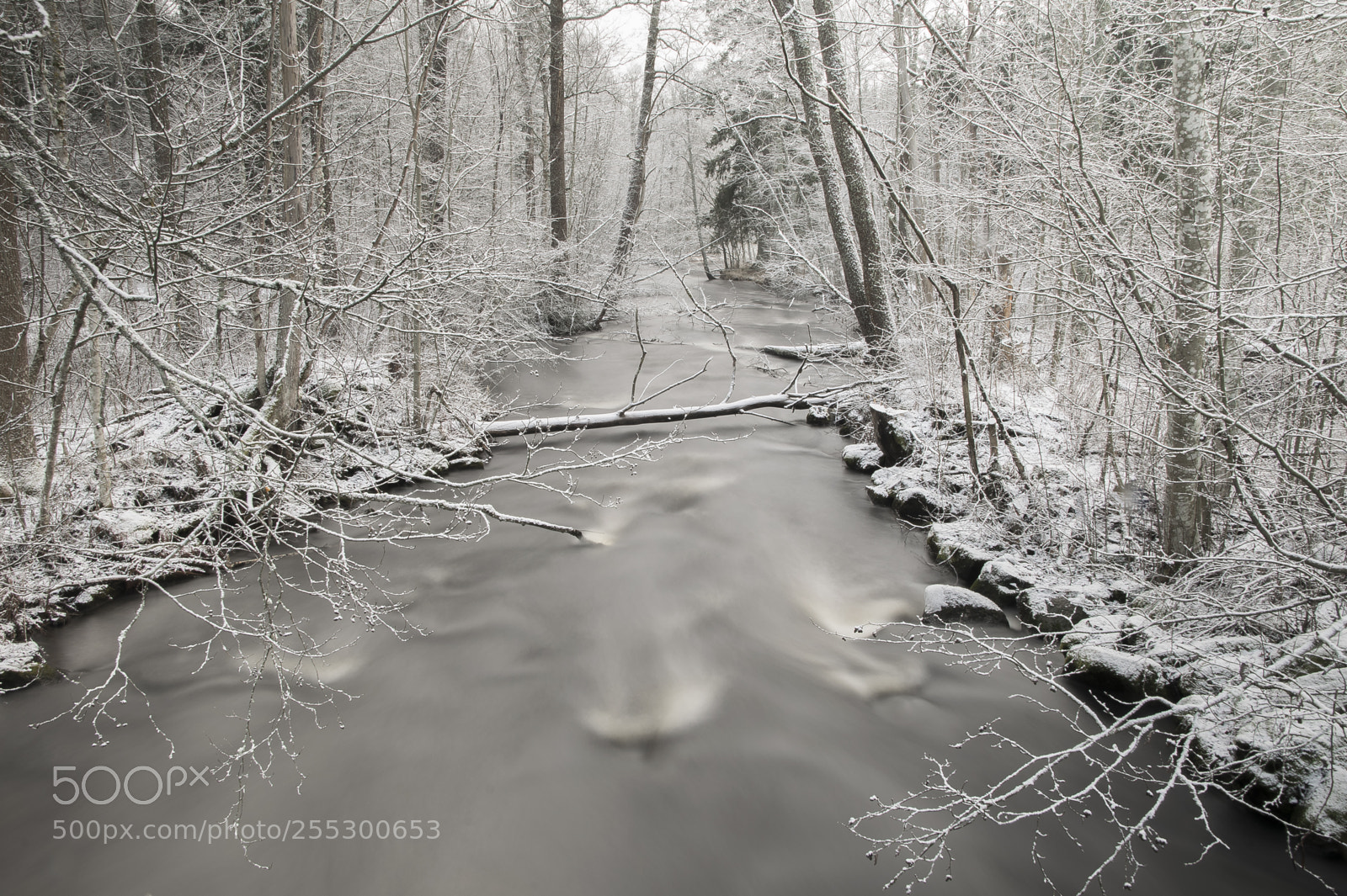Nikon D5300 sample photo. Winter photography