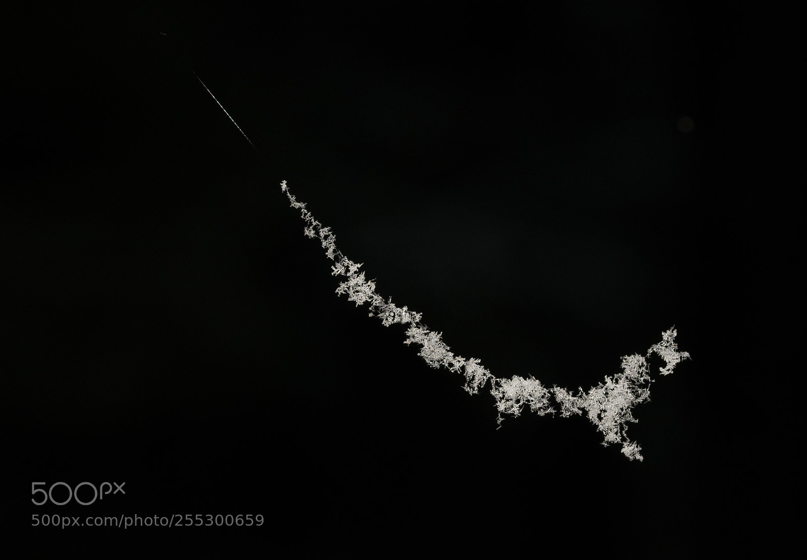 Nikon D5300 sample photo. Winter photography
