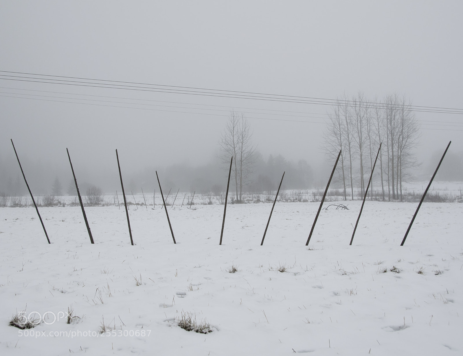 Nikon D5300 sample photo. Winter photography