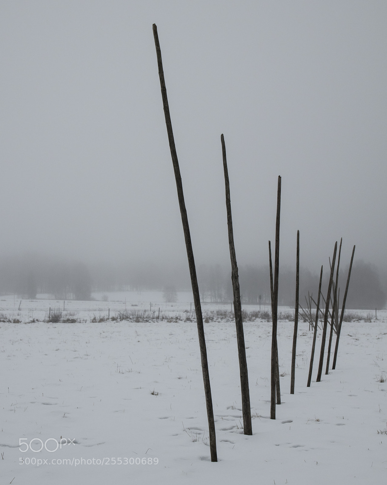 Nikon D5300 sample photo. Winter photography