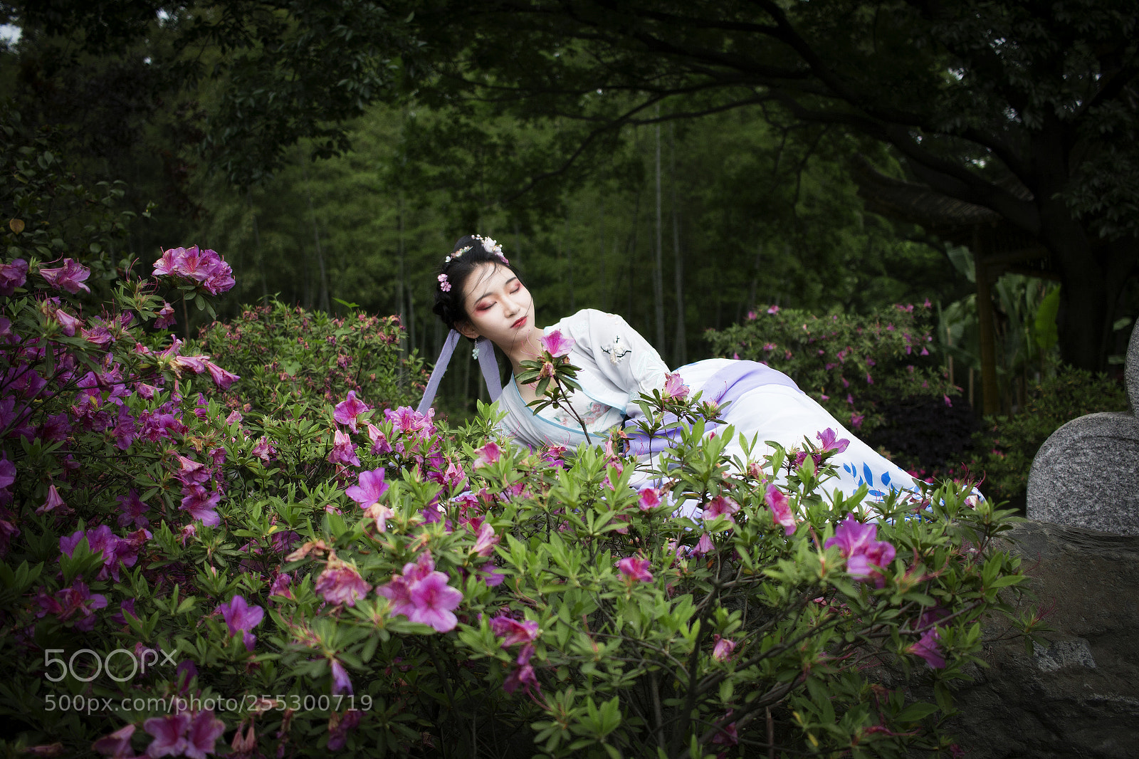 Canon EOS 70D sample photo. Untitled photography