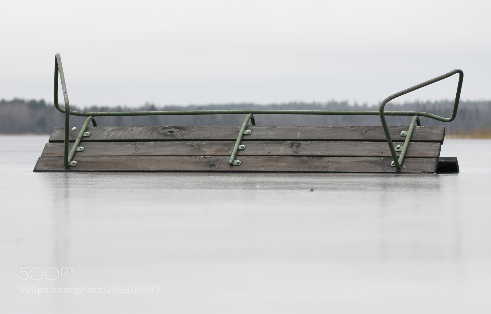 Nikon D5300 sample photo. Winter photography