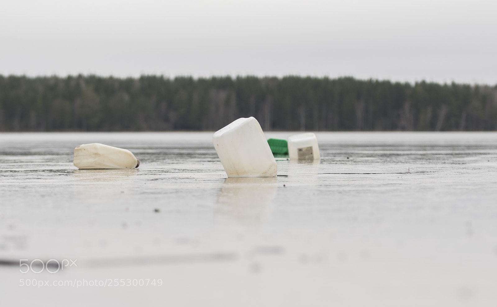 Nikon D5300 sample photo. Winter photography