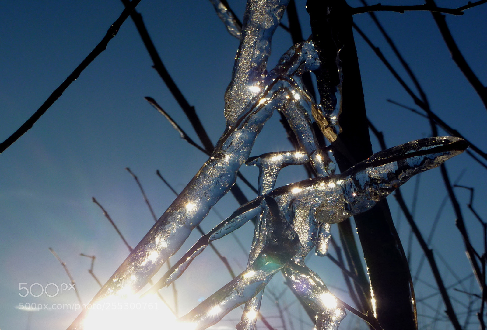 Panasonic DMC-TZ7 sample photo. Winter photography