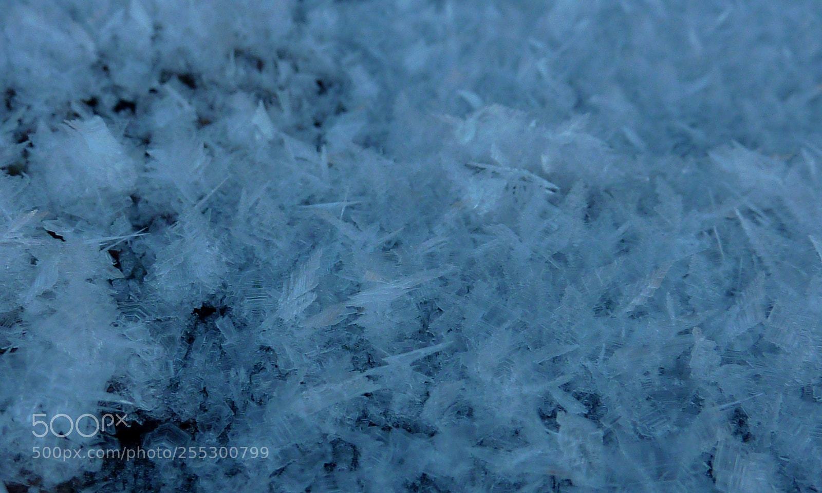 Panasonic DMC-TZ7 sample photo. Winter photography
