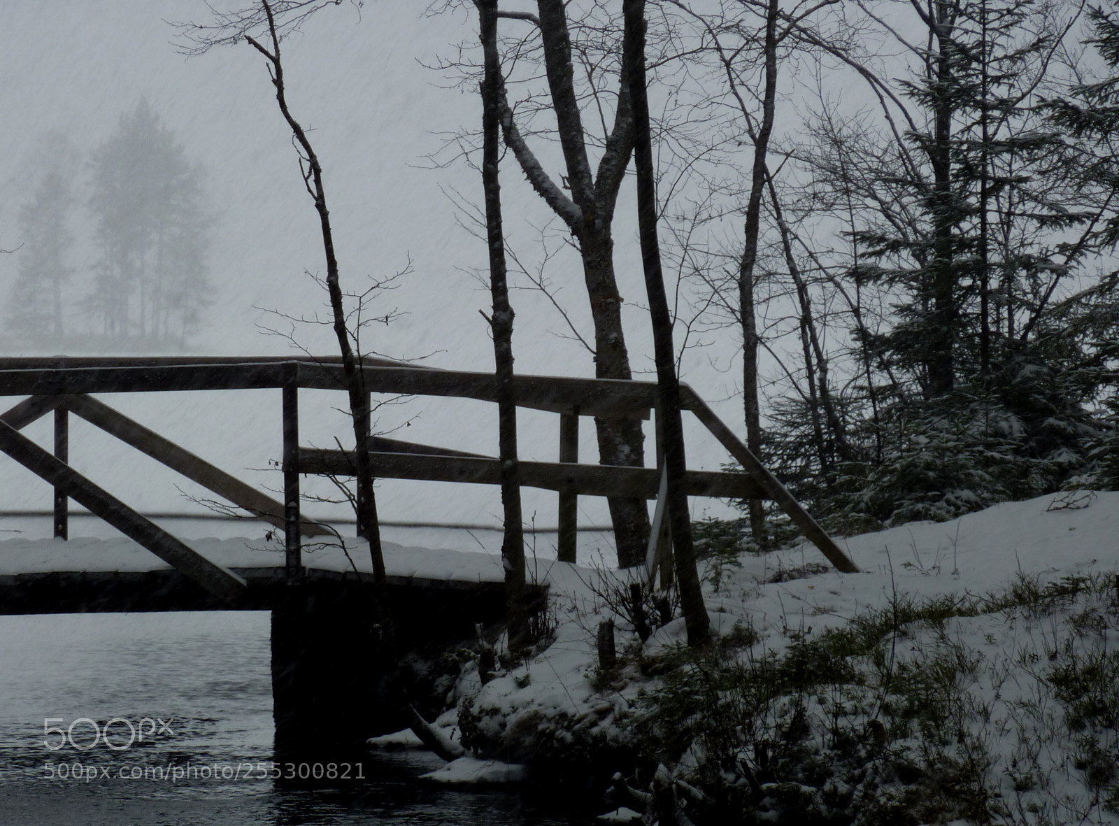 Panasonic DMC-TZ7 sample photo. Winter photography