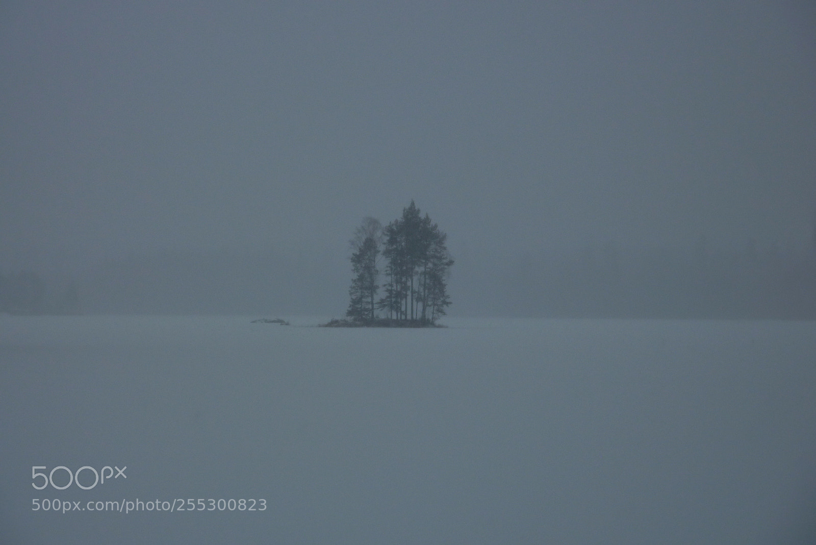 Panasonic DMC-TZ7 sample photo. Winter photography