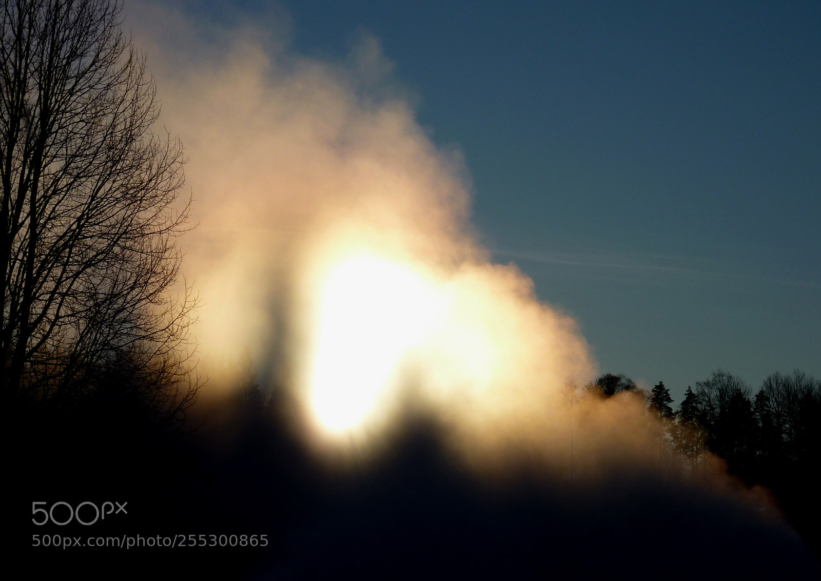 Panasonic DMC-TZ7 sample photo. Winter photography