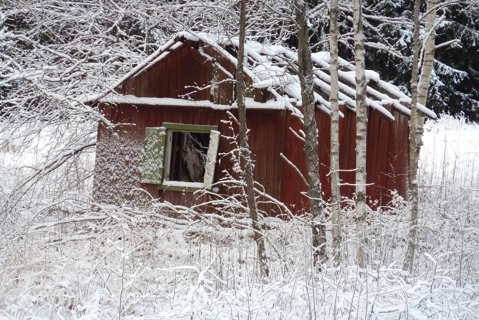 Panasonic DMC-TZ7 sample photo. Winter photography
