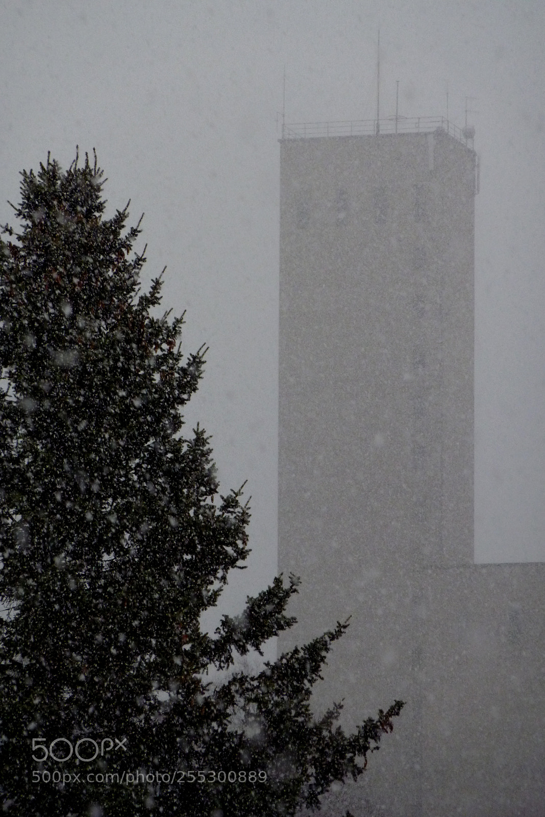Panasonic DMC-TZ7 sample photo. Winter photography
