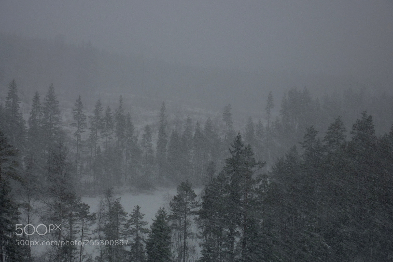 Panasonic DMC-TZ7 sample photo. Winter photography
