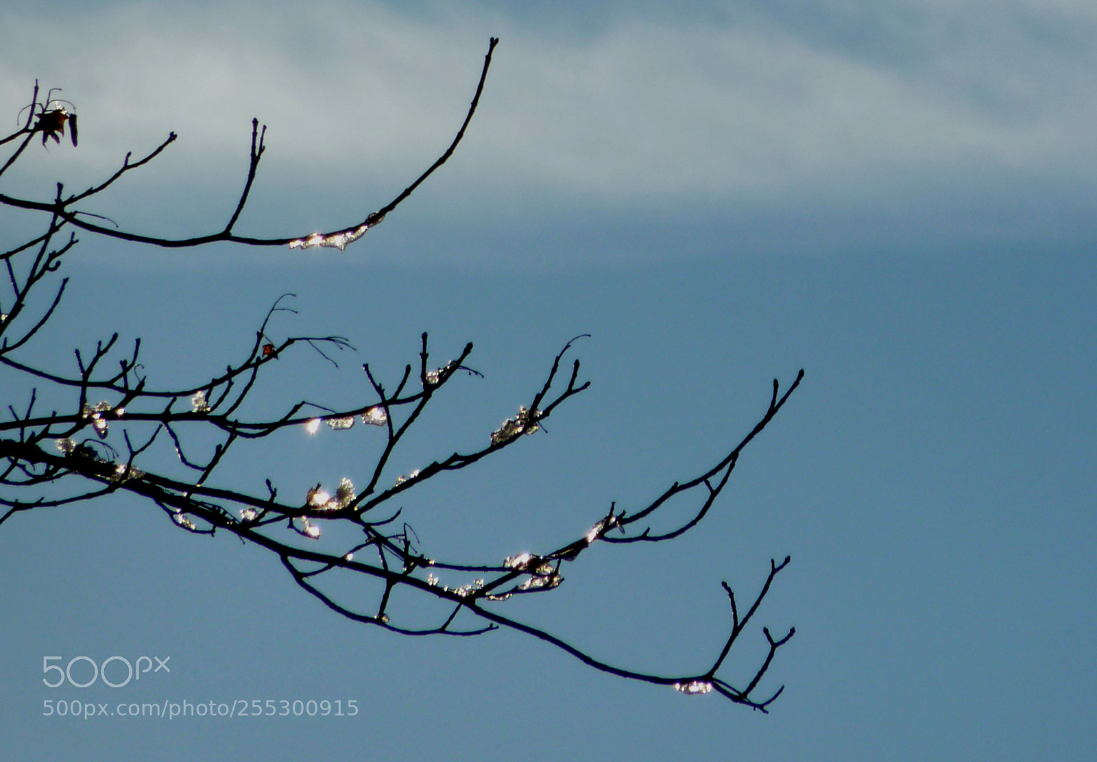 Panasonic DMC-TZ7 sample photo. Winter photography
