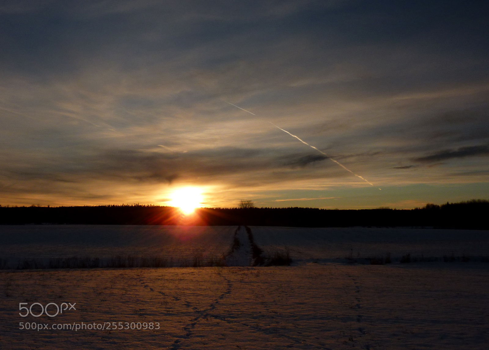 Panasonic DMC-TZ7 sample photo. Winter photography