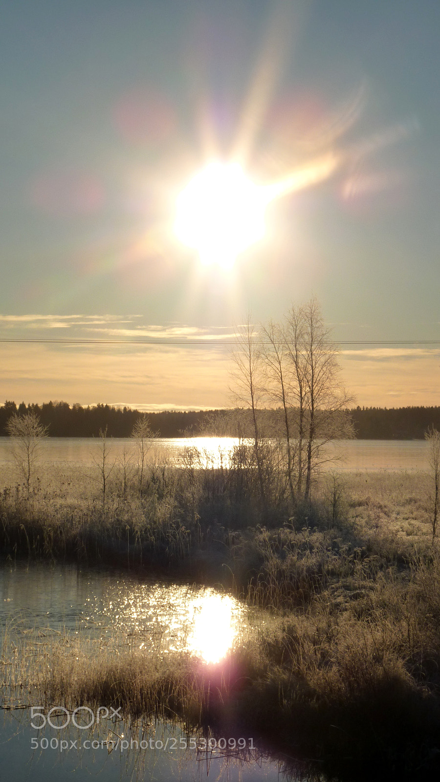 Panasonic DMC-TZ7 sample photo. Winter photography