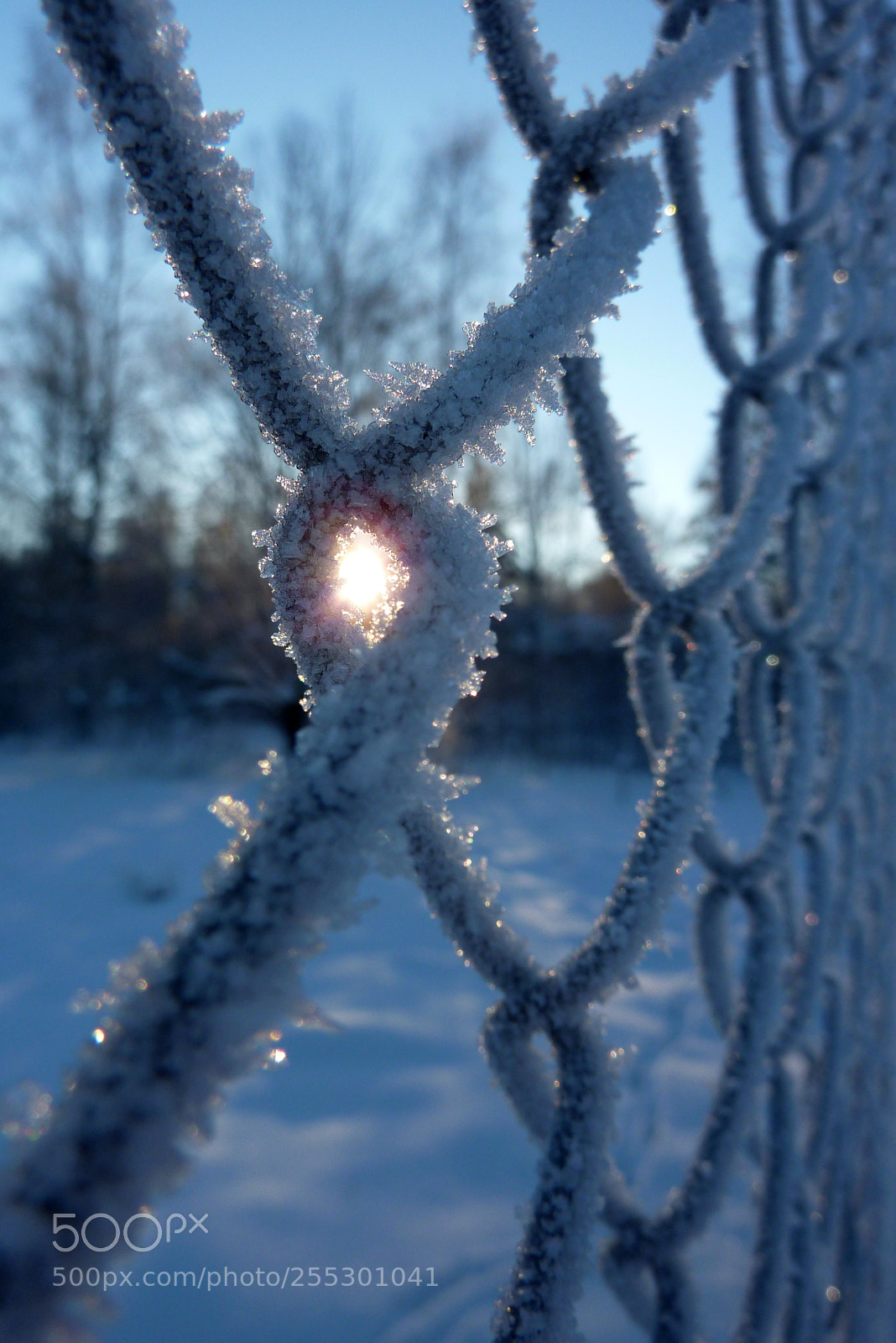 Panasonic DMC-TZ7 sample photo. Winter photography