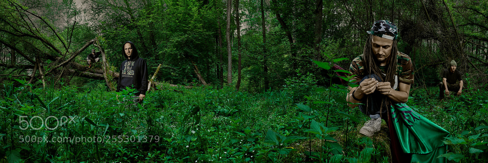 Nikon D800 sample photo. Portfolio photography