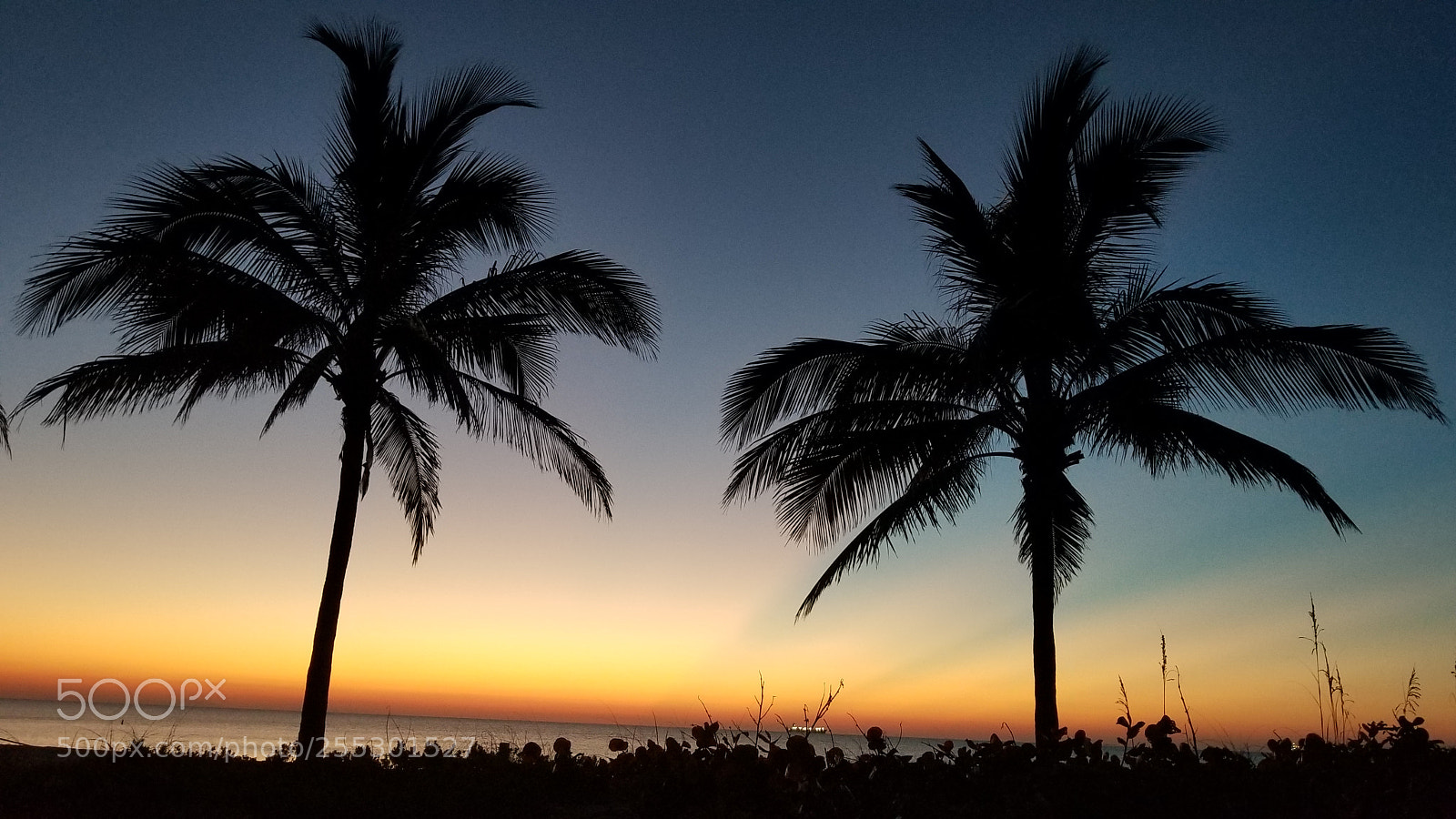 Samsung Galaxy S8+ sample photo. 4.26.18 pre-sunrise photography