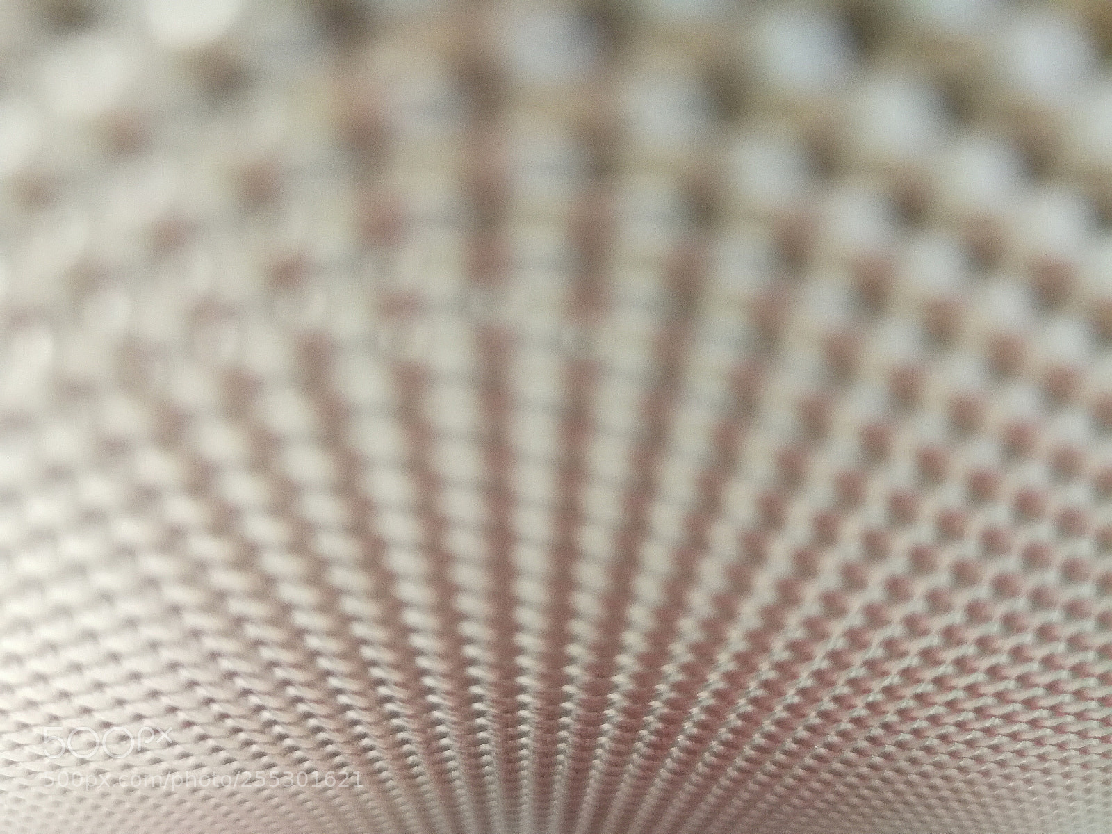 HUAWEI P10 Plus sample photo. Lost in metal photography