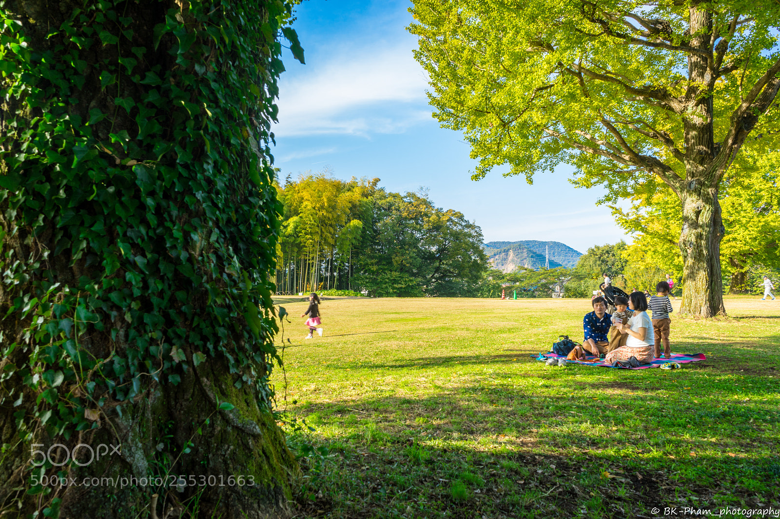 Sony a7 sample photo. #sonya7 #fe28-70mm photography