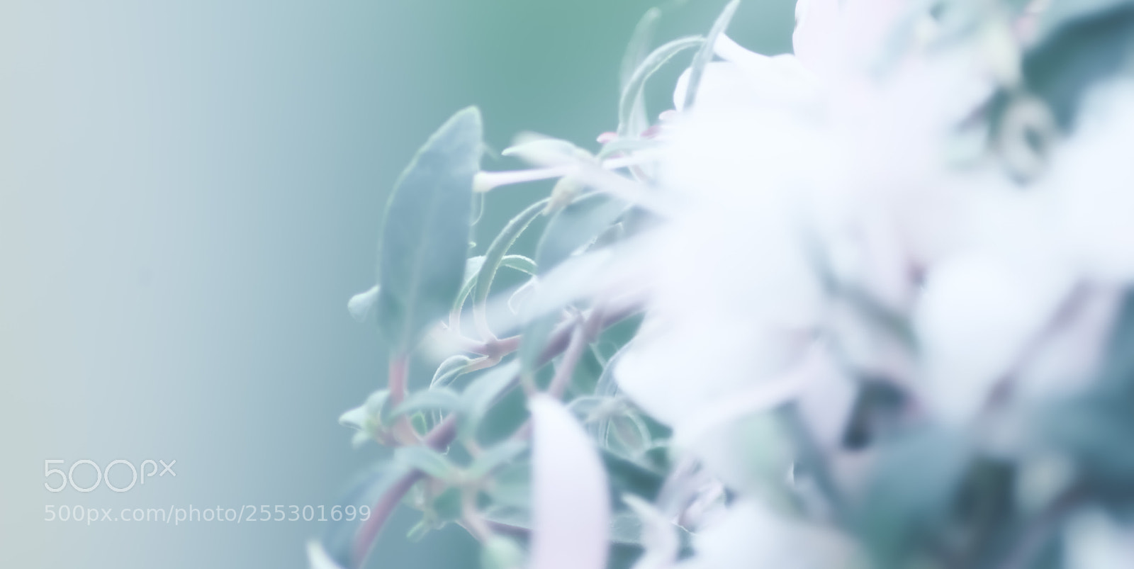 Nikon D7100 sample photo. Tranquility photography