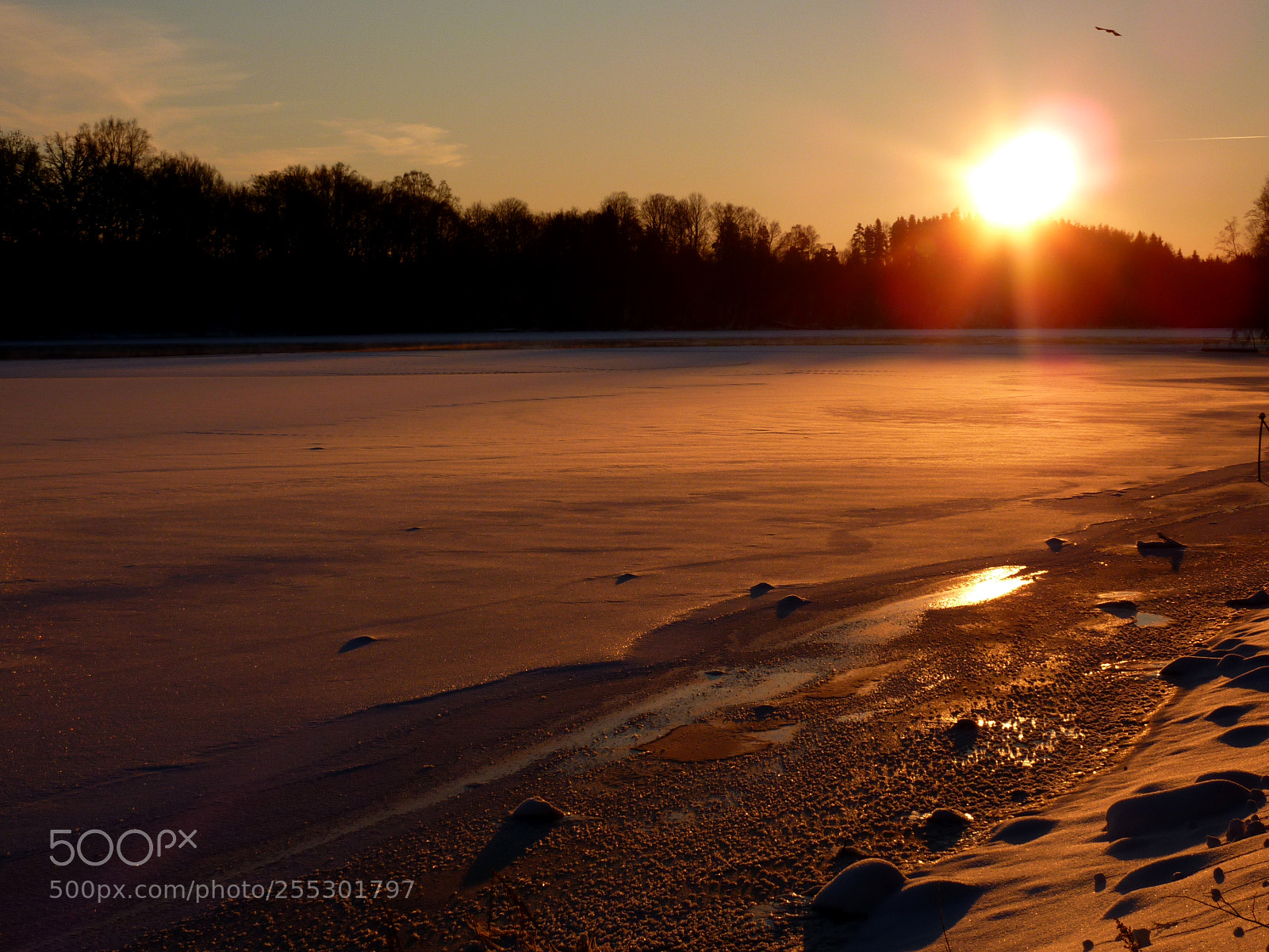 Panasonic DMC-TZ7 sample photo. Winter photography