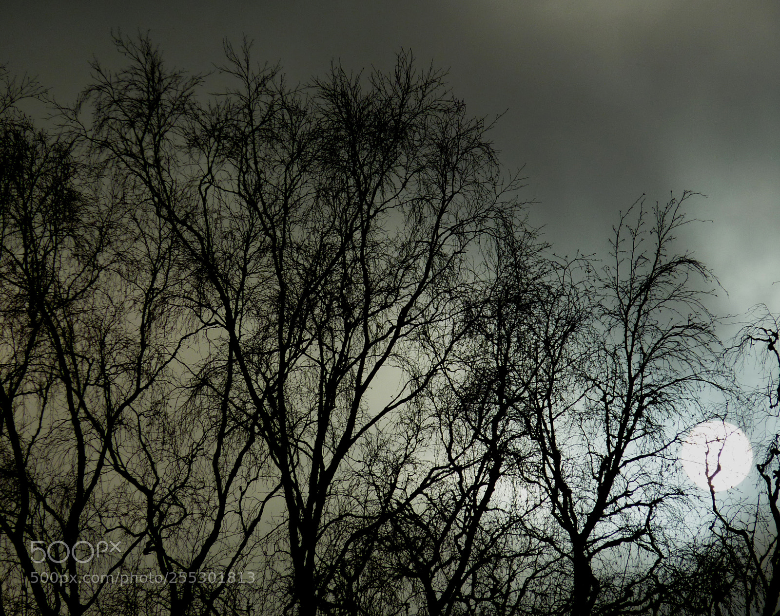 Panasonic DMC-TZ7 sample photo. Winter photography