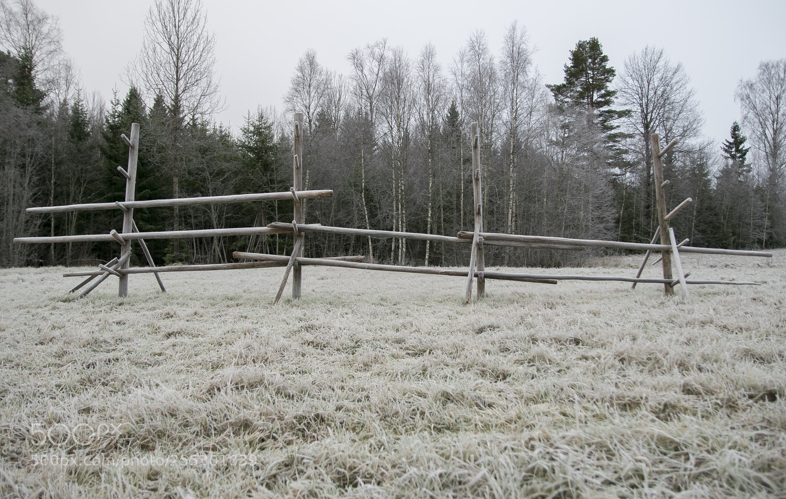 Nikon D5300 sample photo. Winter photography