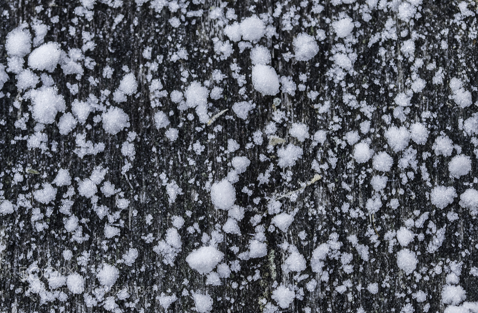 Nikon D5300 sample photo. Winter photography
