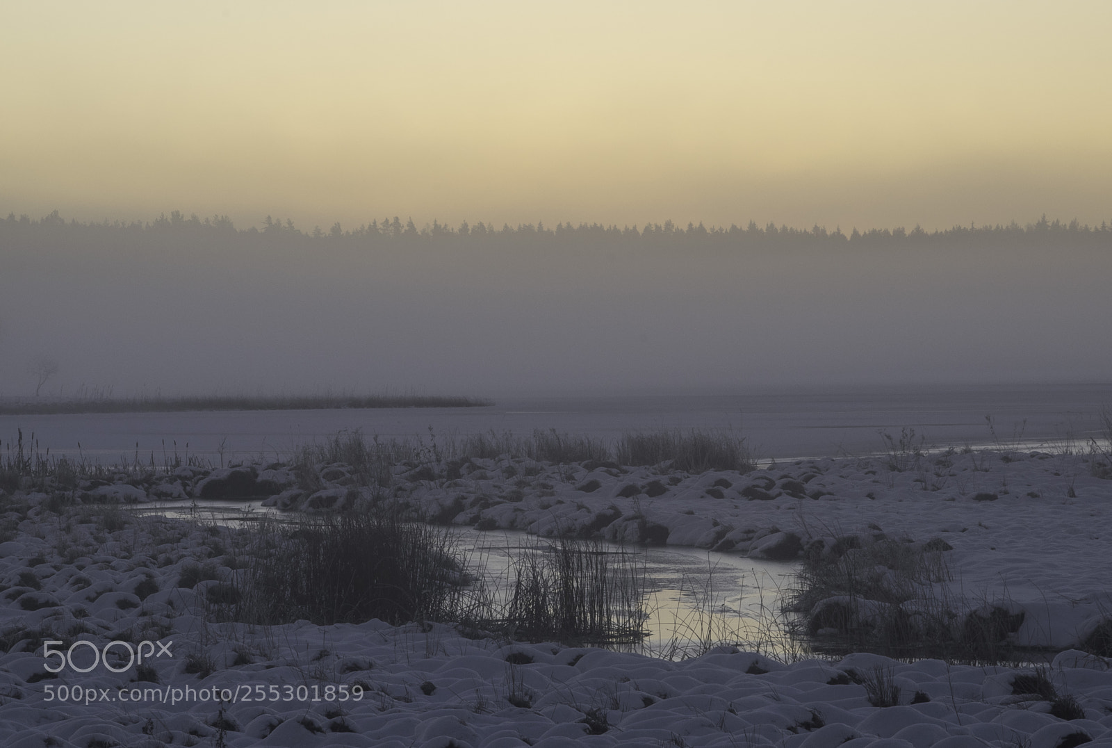 Nikon D5300 sample photo. Winter photography