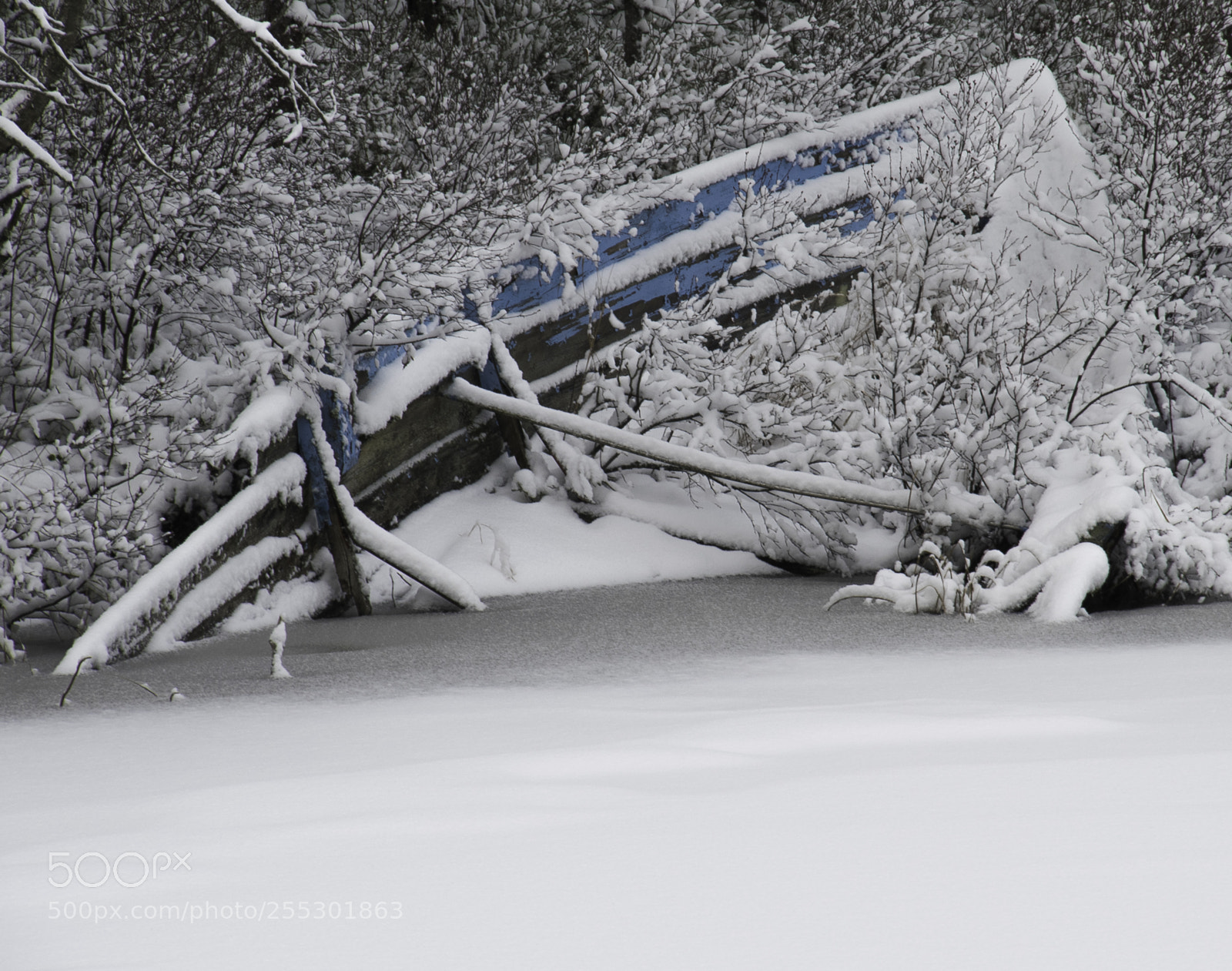 Nikon D5300 sample photo. Winter photography