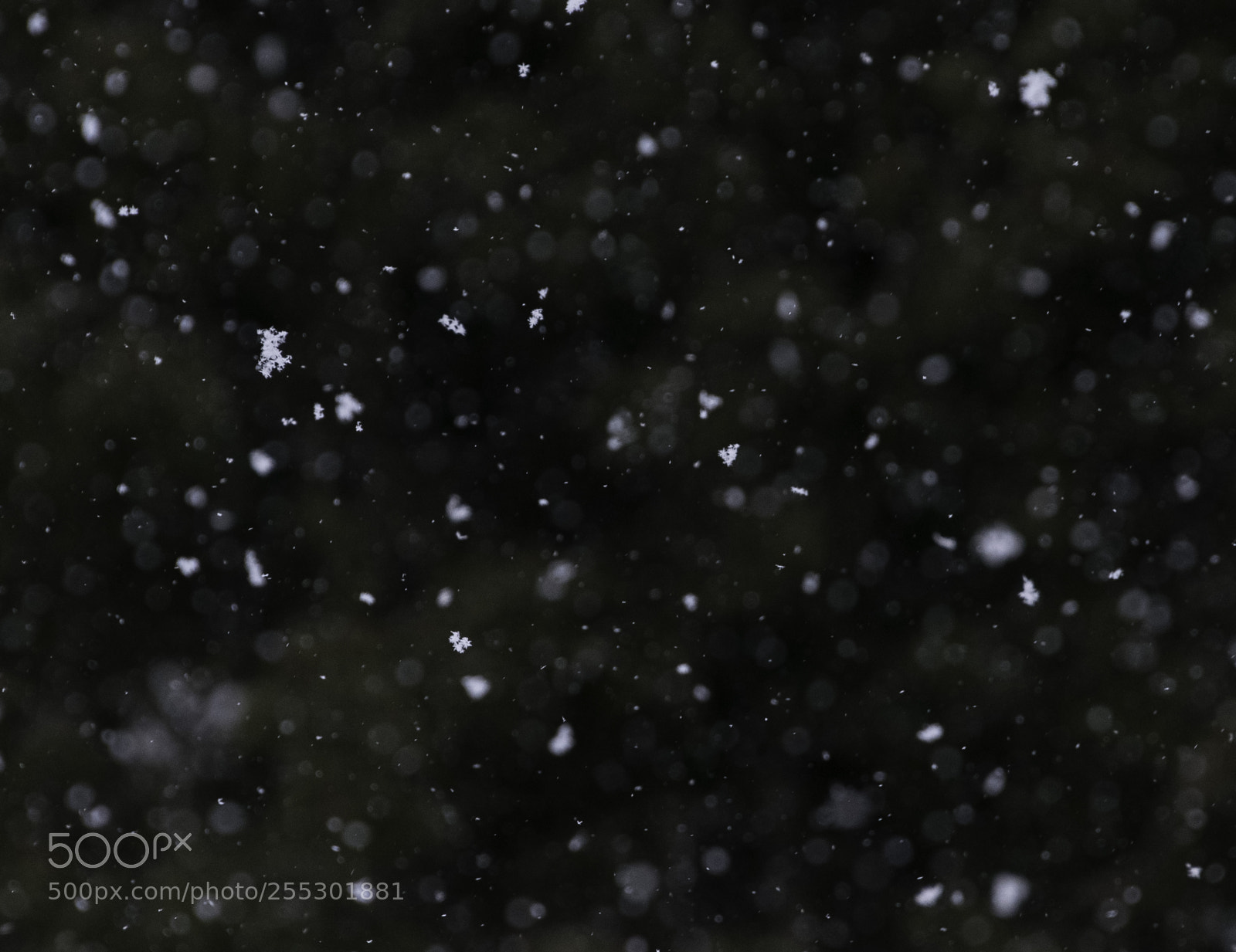 Nikon D5300 sample photo. Winter photography