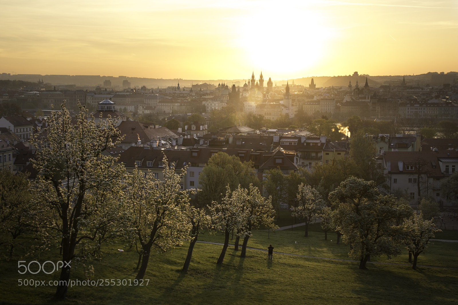 Canon EOS 80D sample photo. Spring mornings in prague photography