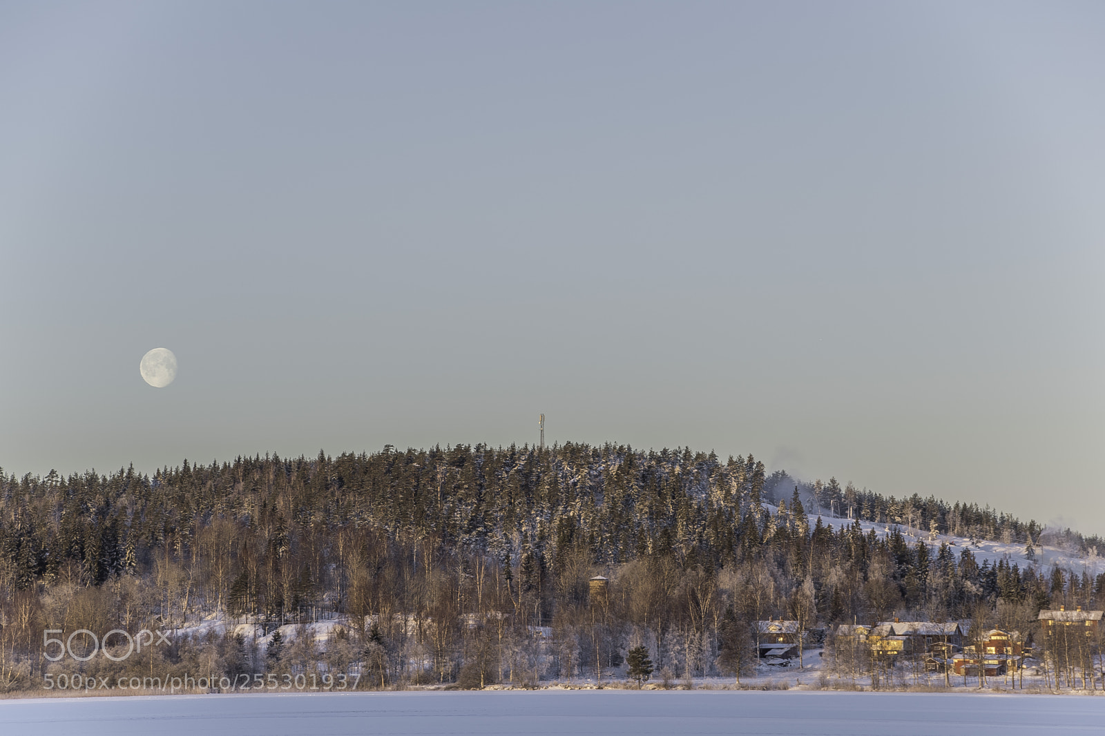 Nikon D5300 sample photo. Winter photography