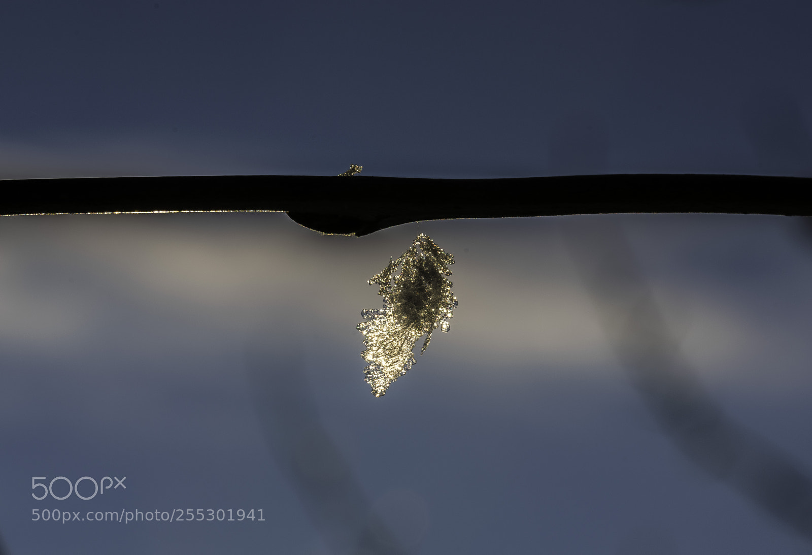 Nikon D5300 sample photo. Winter photography