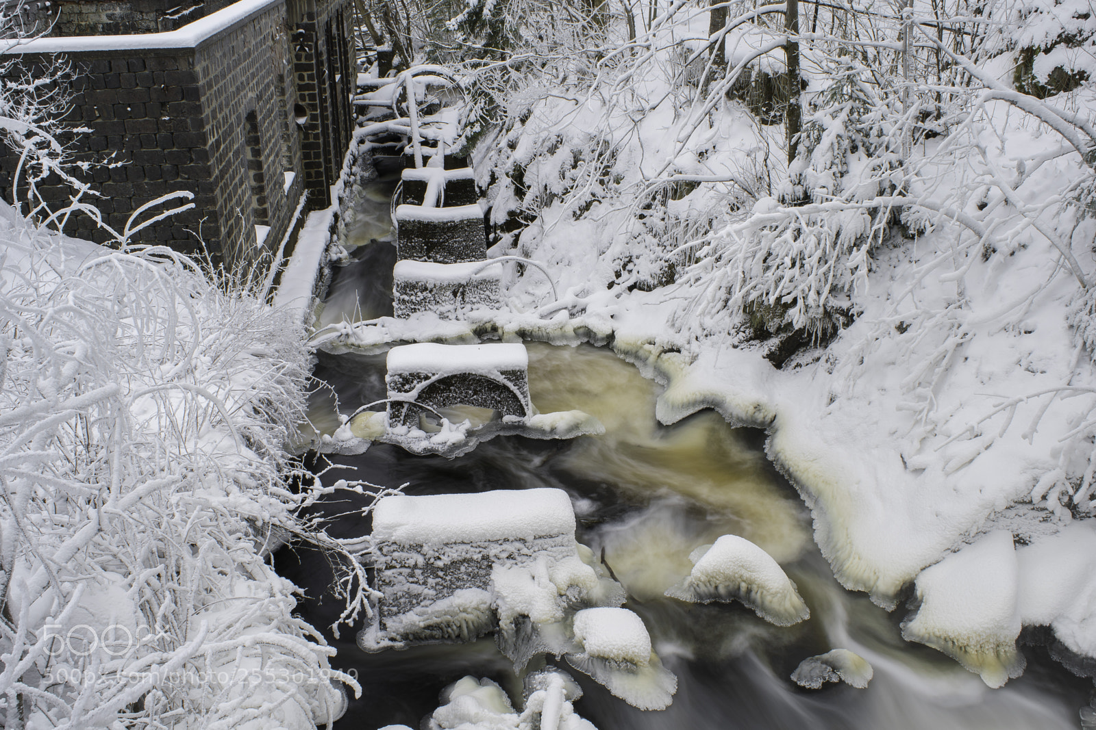 Nikon D5300 sample photo. Winter photography