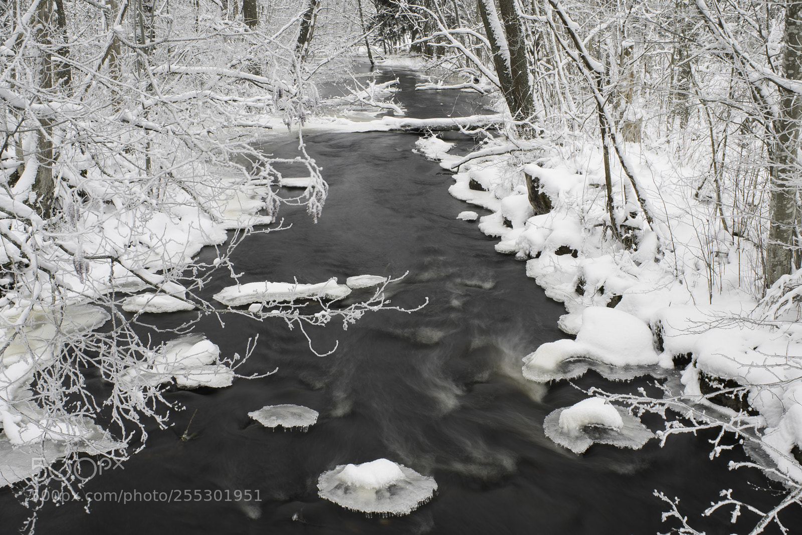 Nikon D5300 sample photo. Winter photography