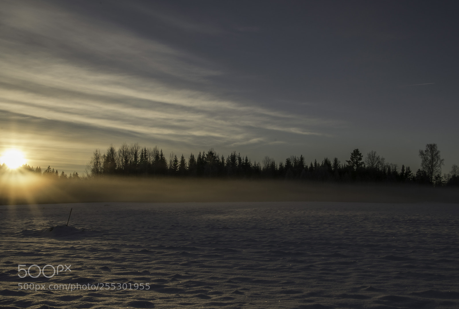 Nikon D5300 sample photo. Winter photography