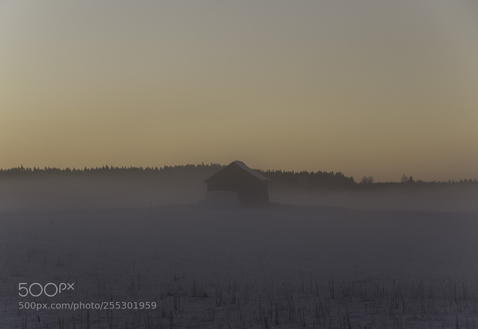 Nikon D5300 sample photo. Winter photography