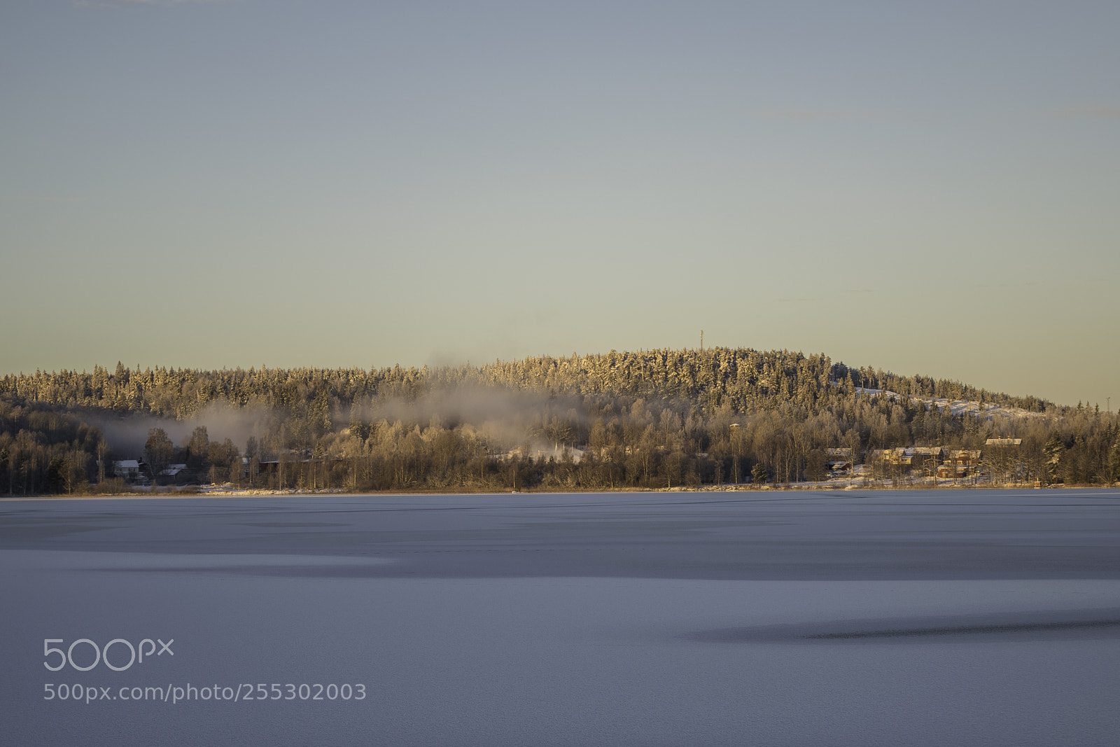 Nikon D5300 sample photo. Winter photography