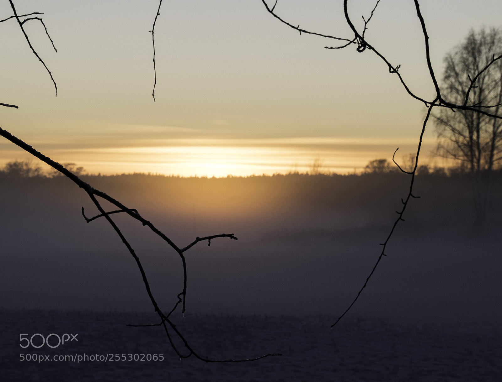 Nikon D5300 sample photo. Winter photography