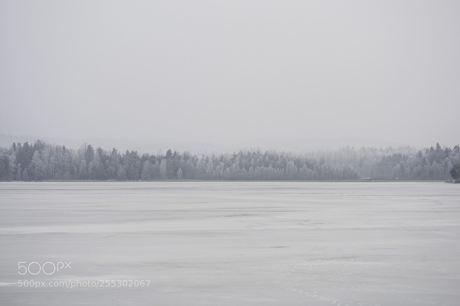 Nikon D5300 sample photo. Winter photography