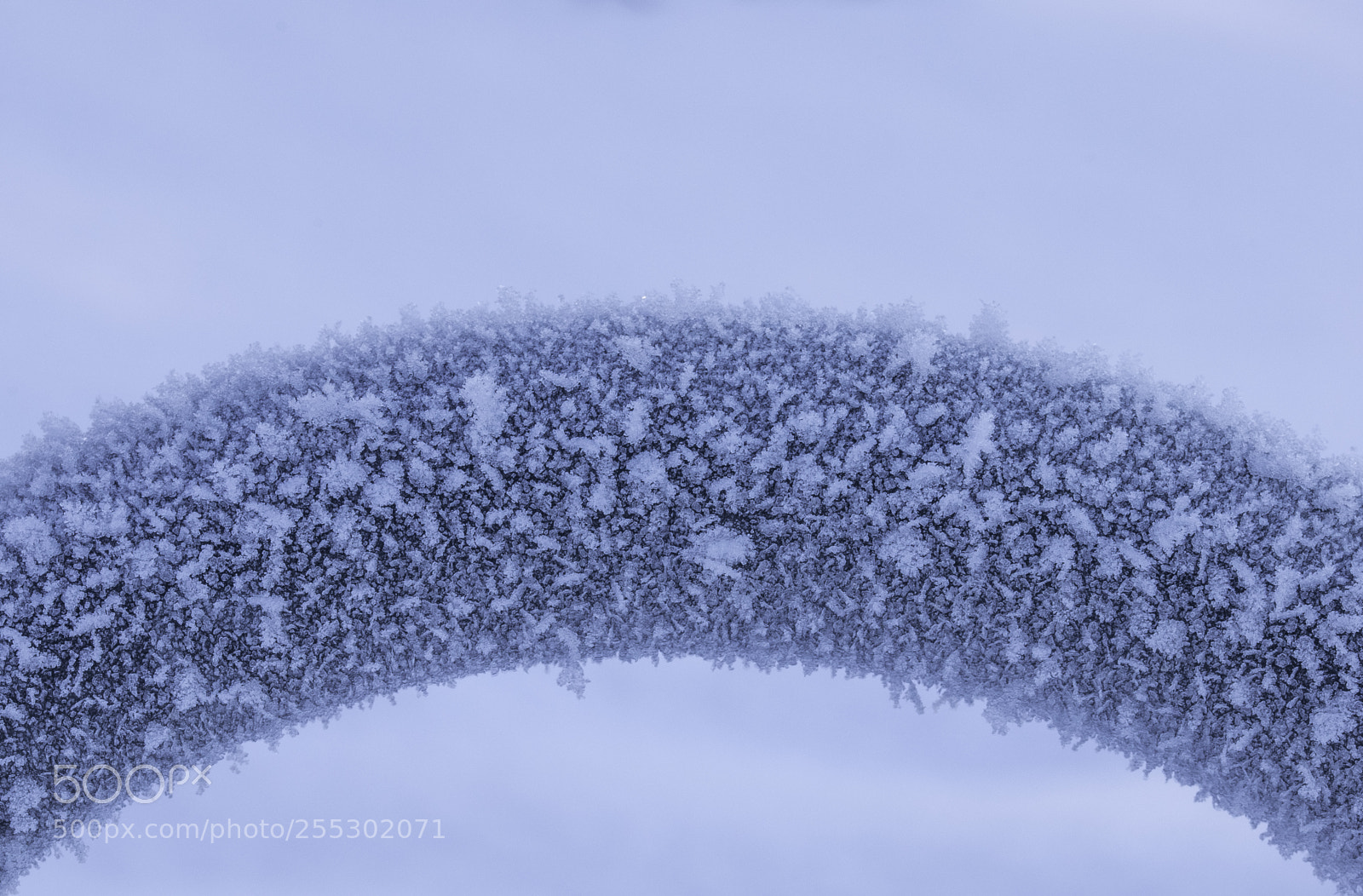 Nikon D5300 sample photo. Winter photography