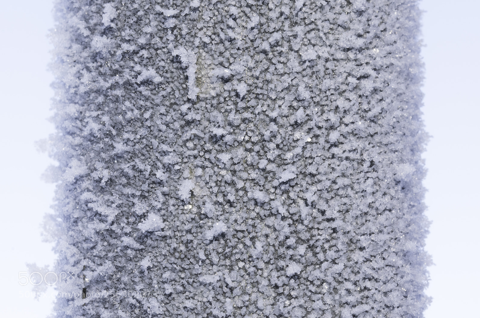 Nikon D5300 sample photo. Winter photography