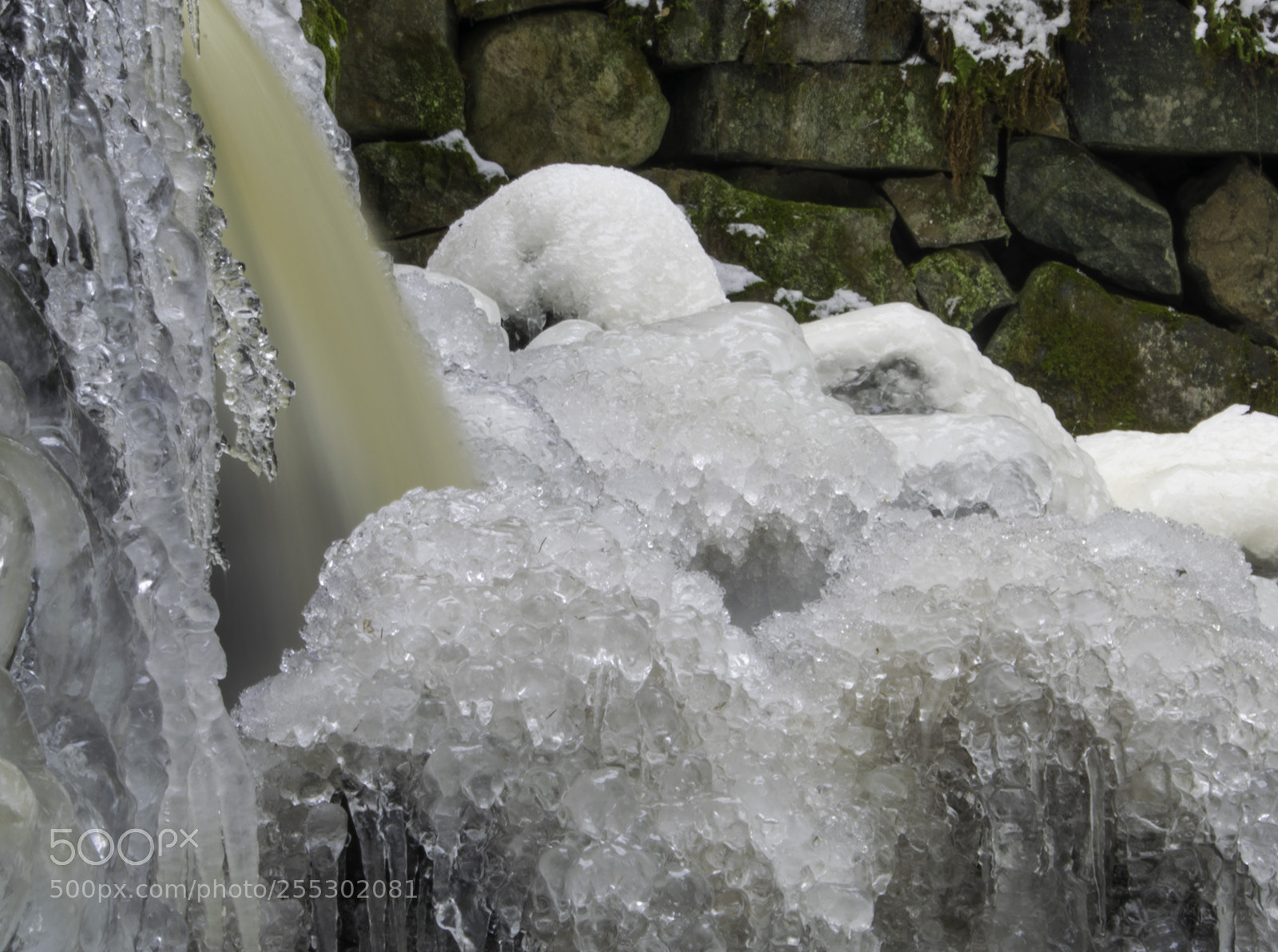 Nikon D5300 sample photo. Winter photography
