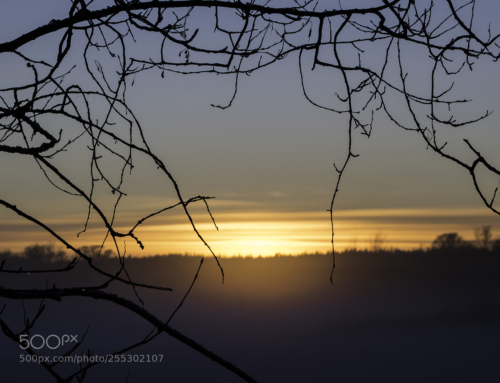Nikon D5300 sample photo. Winter photography