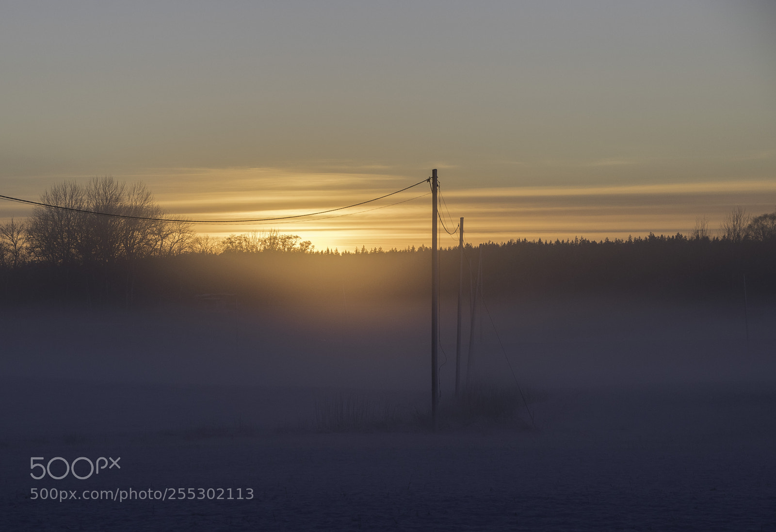 Nikon D5300 sample photo. Winter photography