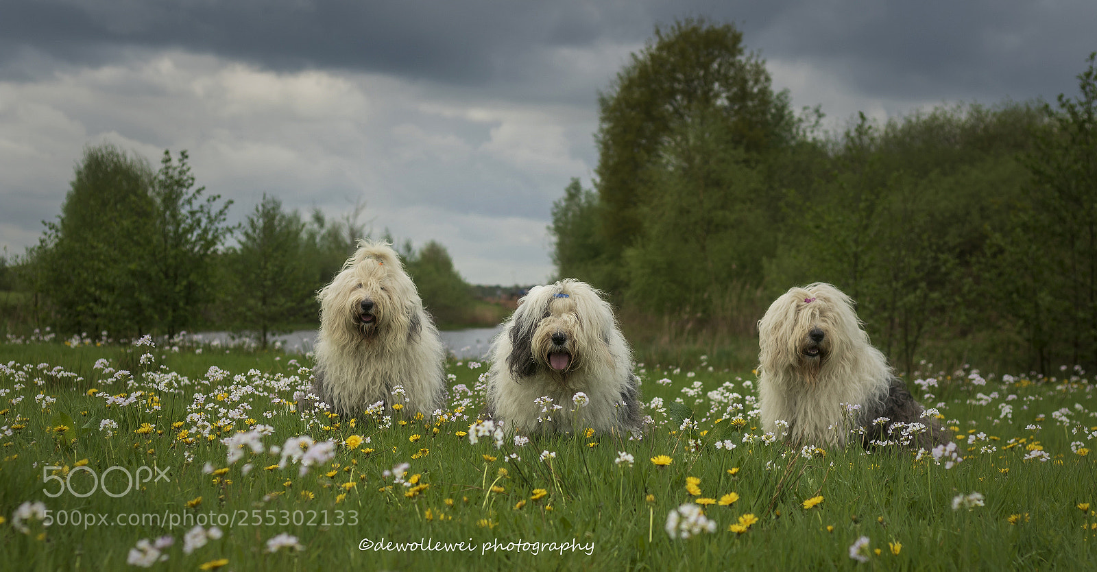Canon EOS 7D Mark II sample photo. Spring portrait photography
