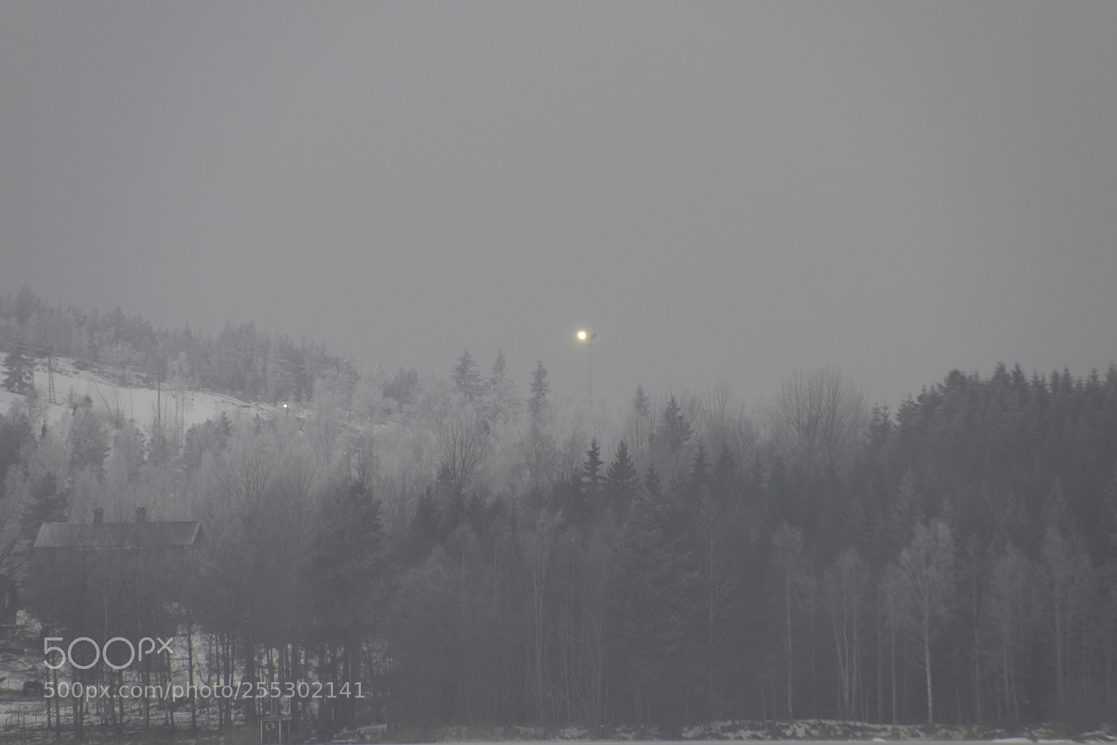 Nikon D5300 sample photo. Winter photography
