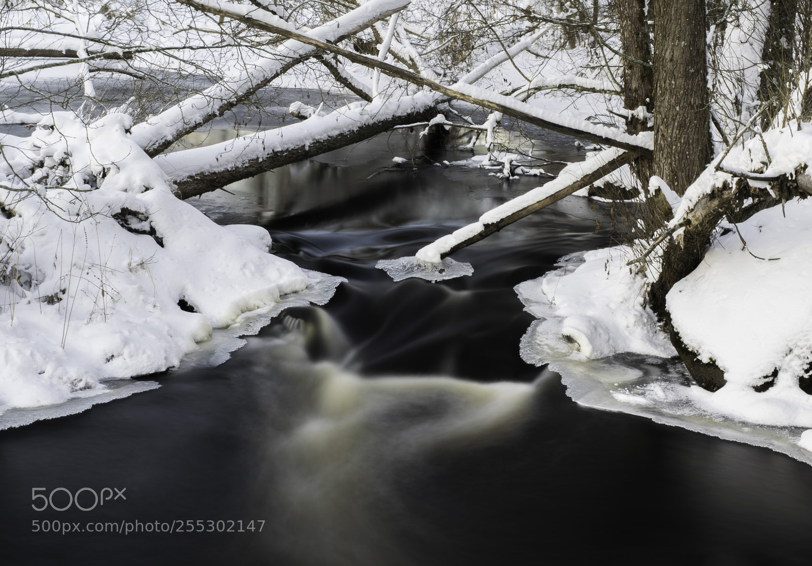 Nikon D5300 sample photo. Winter photography