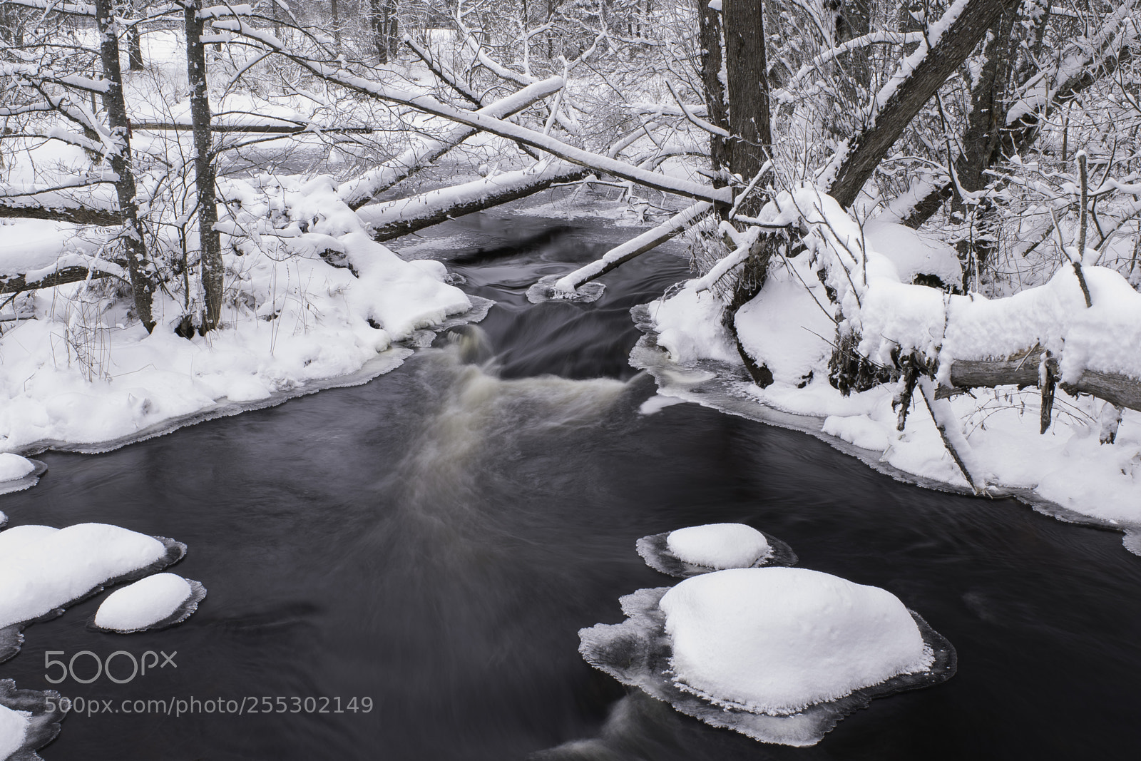 Nikon D5300 sample photo. Winter photography